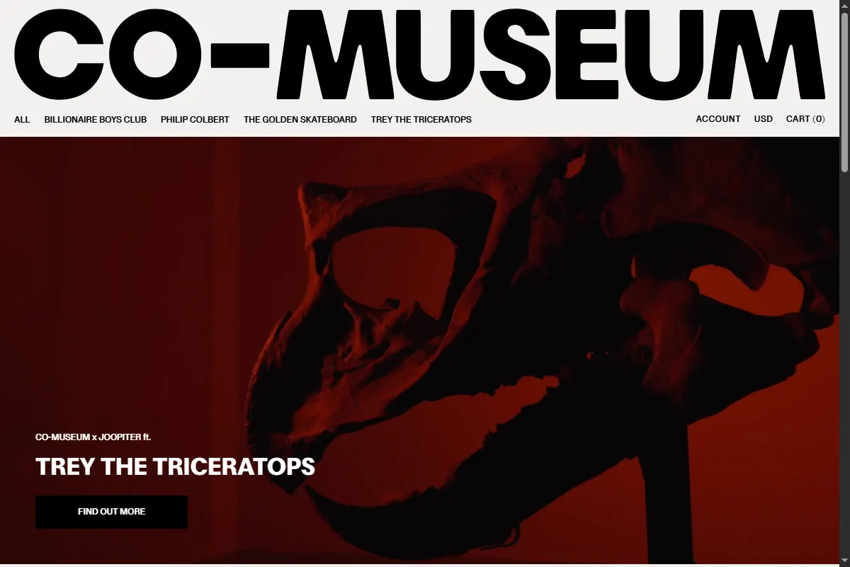 Co-Museum website preview
